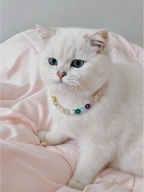 Rainbow Charm Crystal Pet Collar